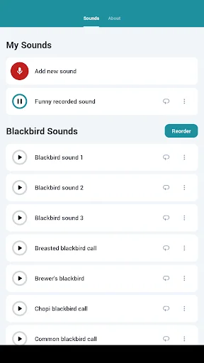 Blackbird Sounds ڈاؤن لوڈ کریں – فطرت کی پرسکون آوازیں مفت - Screenshot 7