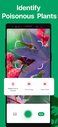 PictureThis ڈاؤن لوڈ کریں – پودوں کی فوری شناخت اور دیکھ بھال - Screenshot 6