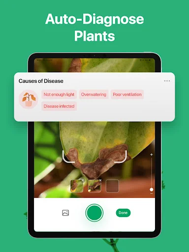 PictureThis ڈاؤن لوڈ کریں – پودوں کی فوری شناخت اور دیکھ بھال - Screenshot 20
