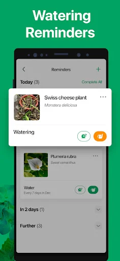 PictureThis ڈاؤن لوڈ کریں – پودوں کی فوری شناخت اور دیکھ بھال - Screenshot 5
